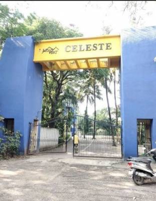 celeste Elevation Elevation