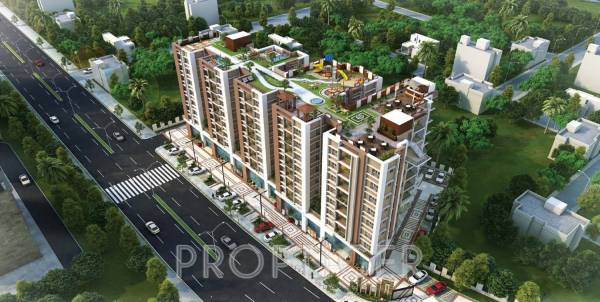  splendora Images for Elevation of Saltee Splendora