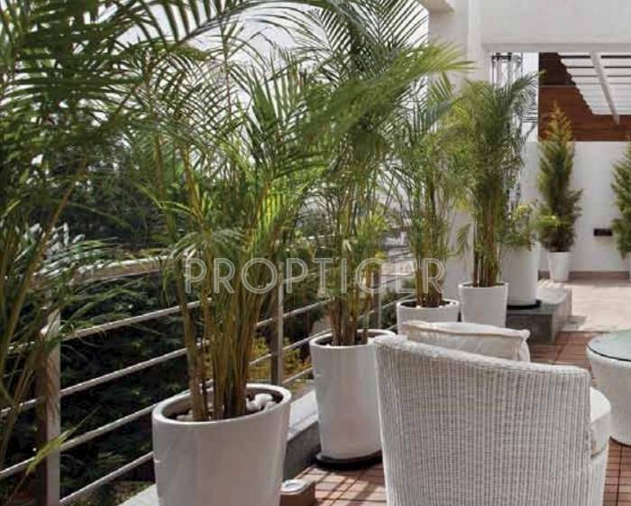  17 Images for Amenities of Godrej 17