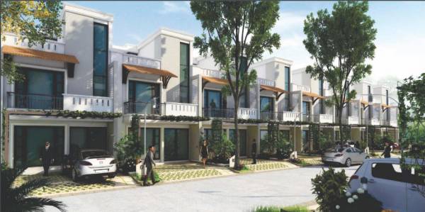 Elevation villa-grande Elevation