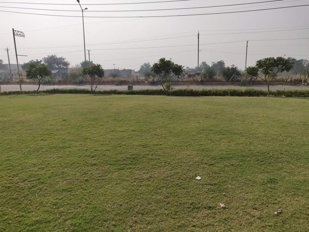  heights 86 Landscape Garden and Tree Planting