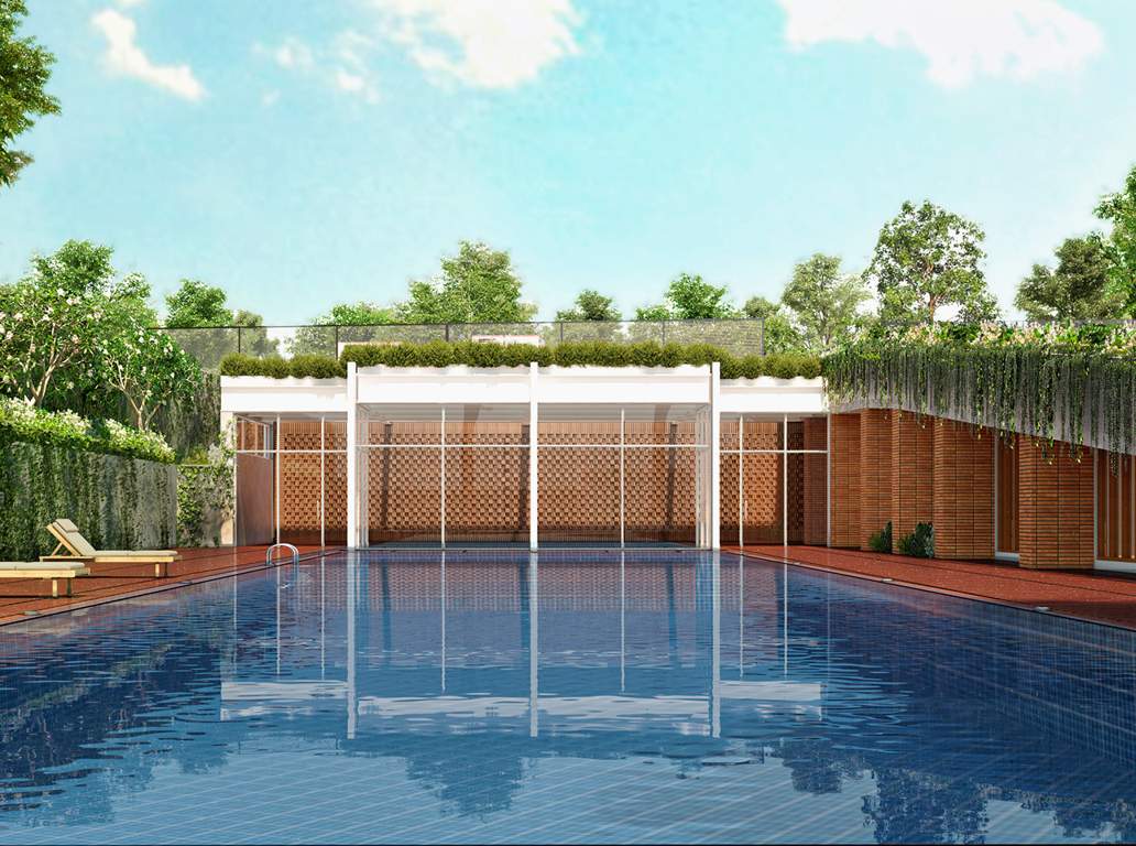  pursuit of a radical rhapsody apartment Swimming Pool