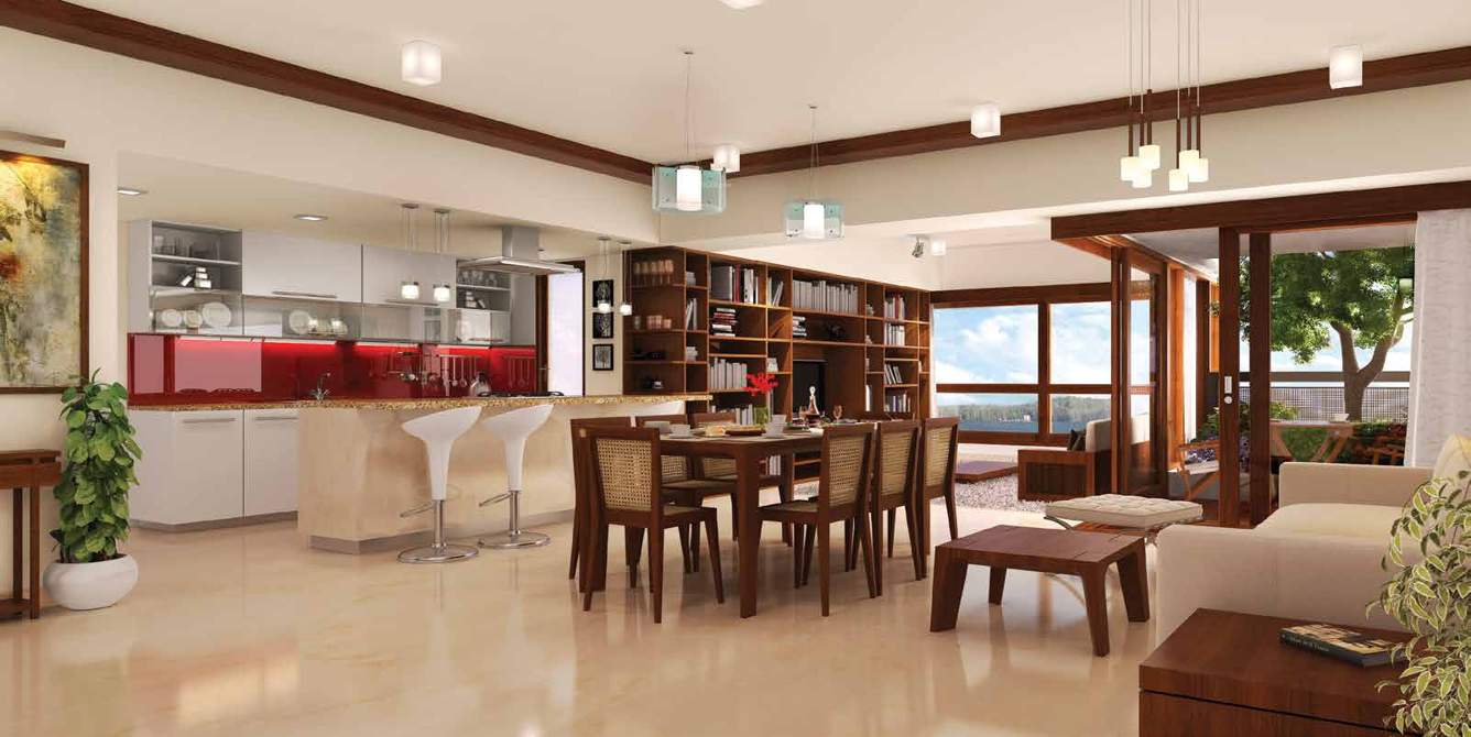  pursuit of a radical rhapsody  Dining Area