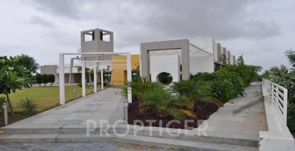 Images for Main Other of Calica 3rd Eye Greens One