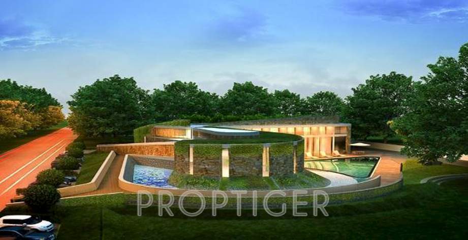 Images for Main Other of Calica 3rd Eye Greens One