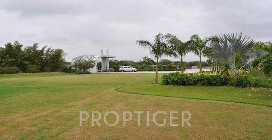 Images for Main Other of Calica 3rd Eye Greens One