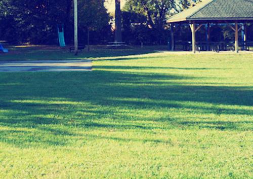  silverwood-apartments Landscaped Gardens