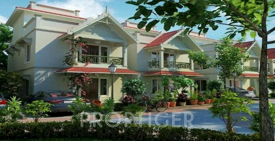 Images for Elevation of Pushti Aashka