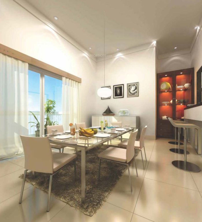 pride Images for Main Other of Purvi Pride