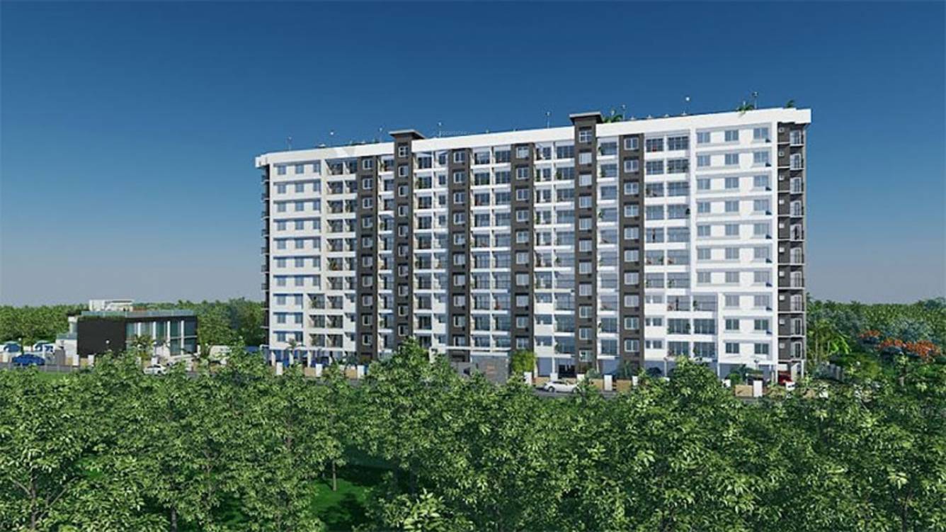 Images for Elevation of  Cintra