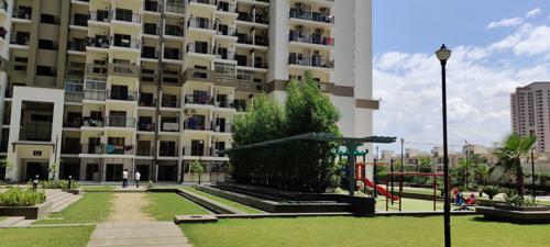 Landscape Garden and Tree Planting bellina Landscape Garden and Tree Planting