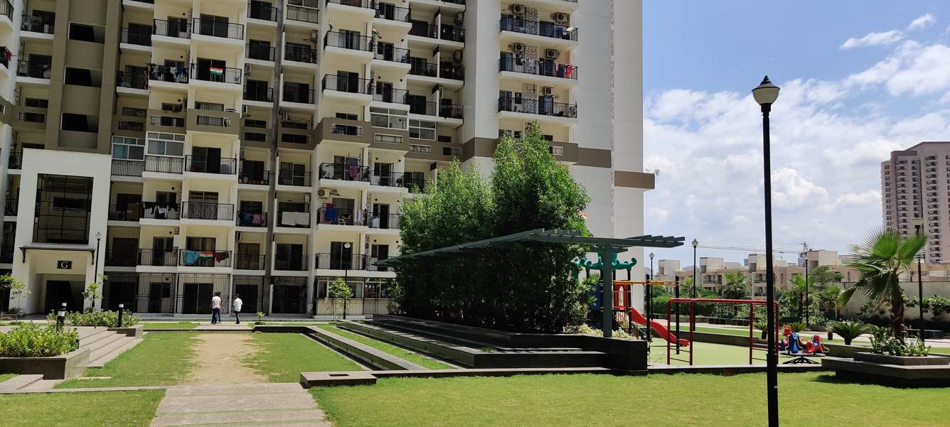  bellina Landscape Garden and Tree Planting