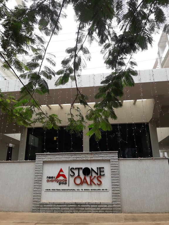  stone oaks Images for Project