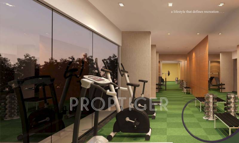 Images for Amenities of Rite Developers Celesta