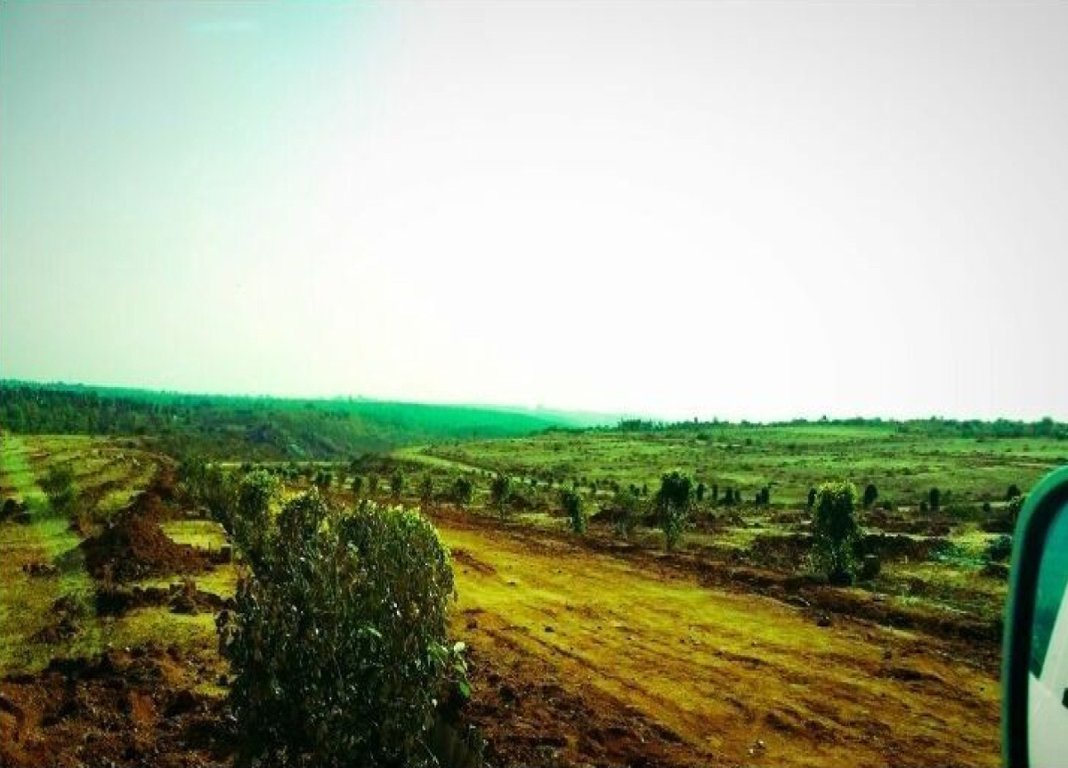 Images for Amenities of Meridian The Hills