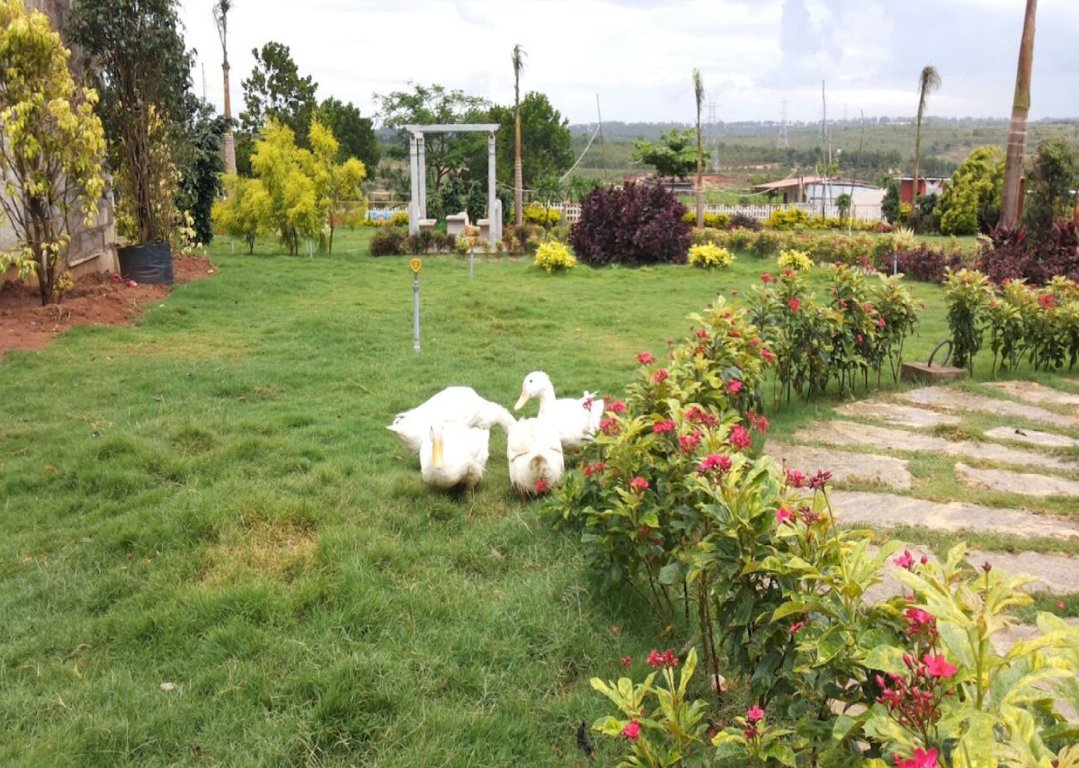 Images for Amenities of Meridian The Hills