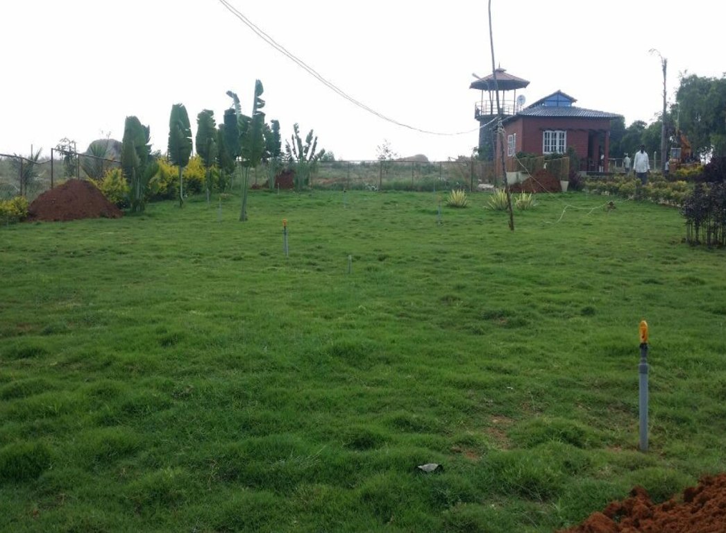 Images for Amenities of Meridian The Hills