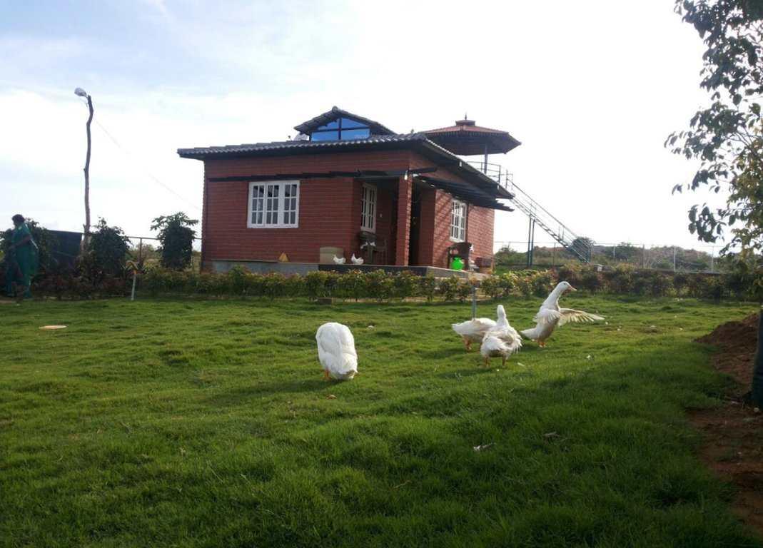 Images for Amenities of Meridian The Hills