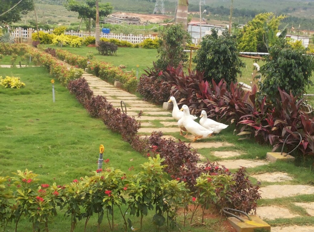 Images for Amenities of Meridian The Hills