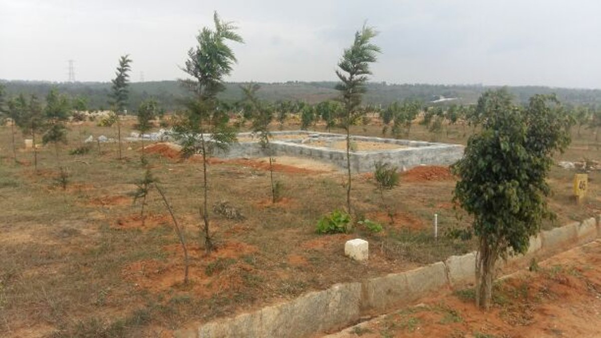 Images for mainOther