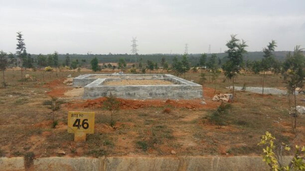 Images for mainOther