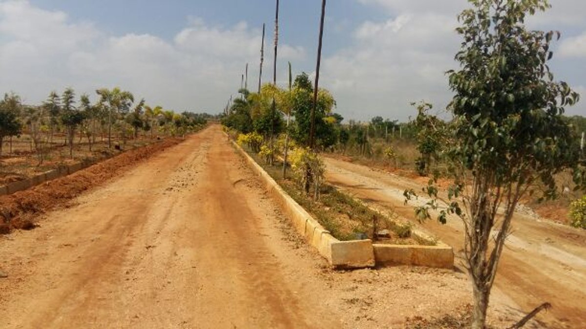 Images for mainOther