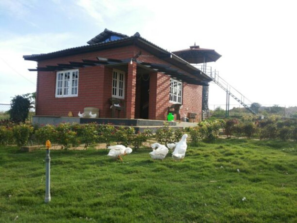 Images for mainOther