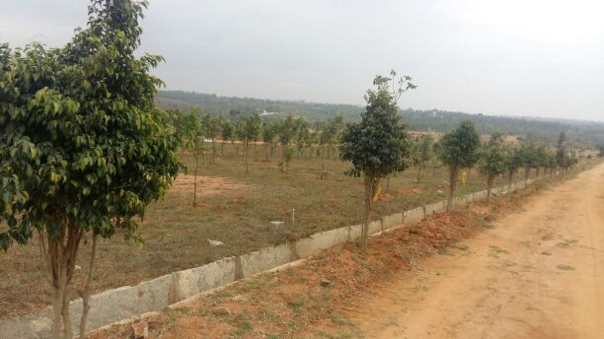 Images for mainOther