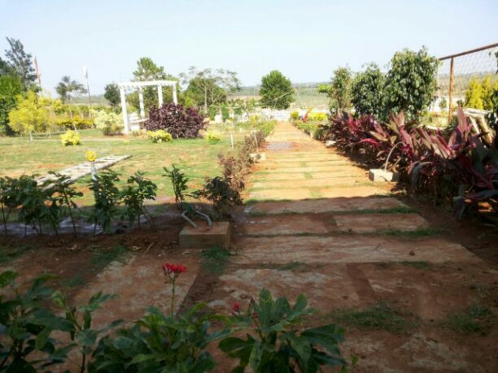 Images for mainOther