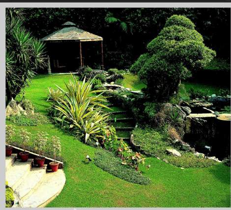 heights Landscape Garden and Tree Planting