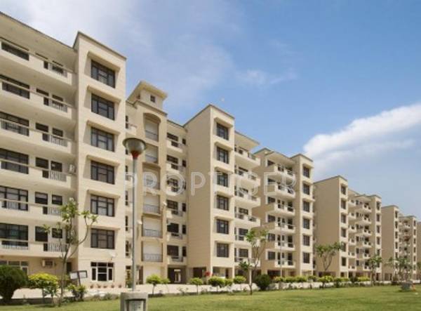 Images for Elevation of Pioneer Acme Heights