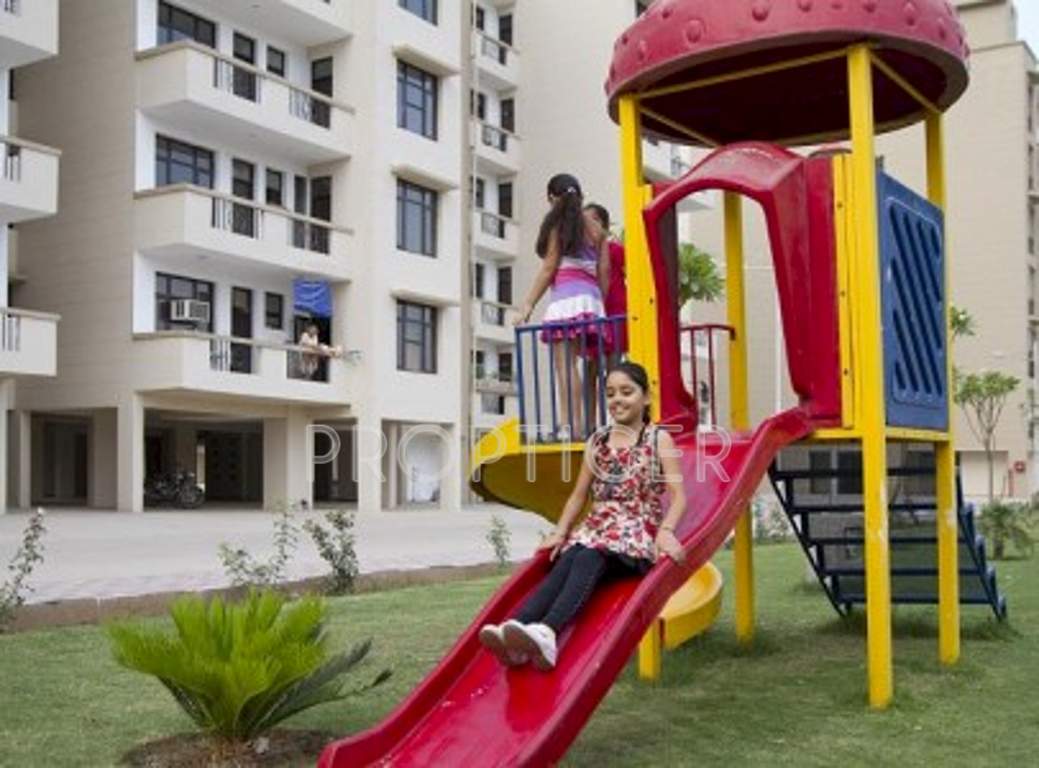 Images for Amenities of Pioneer Acme Heights