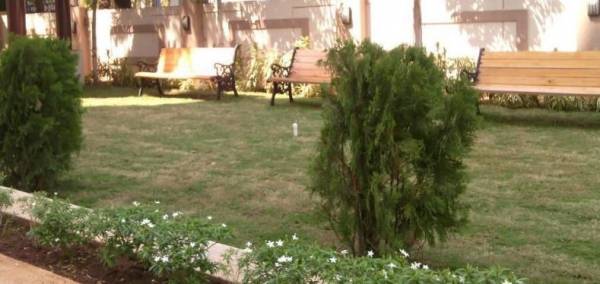 Others exotica Others