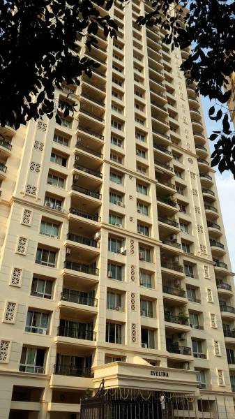  evelina Images for Project