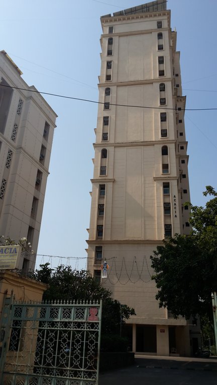  acacia Images for Project