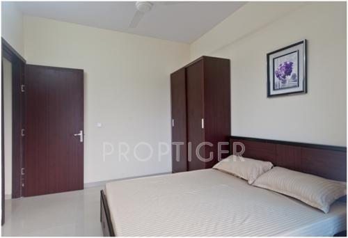 Images for Main Other of Nirvana Alive alive Images for Main Other of Nirvana Alive