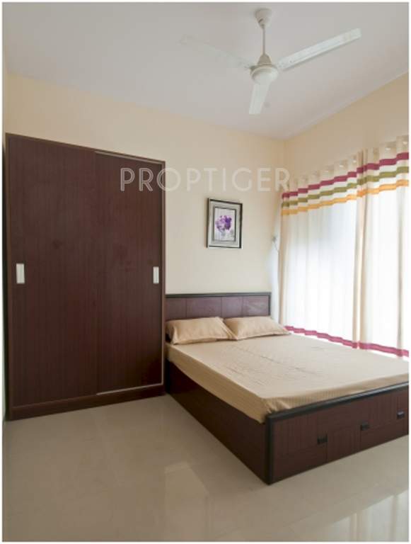 alive Images for Main Other of Nirvana Alive