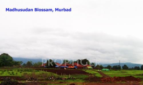 Images for Main Other of Zebra Madhusudhan Blossom Images for Main Other of Zebra Madhusudhan Blossom