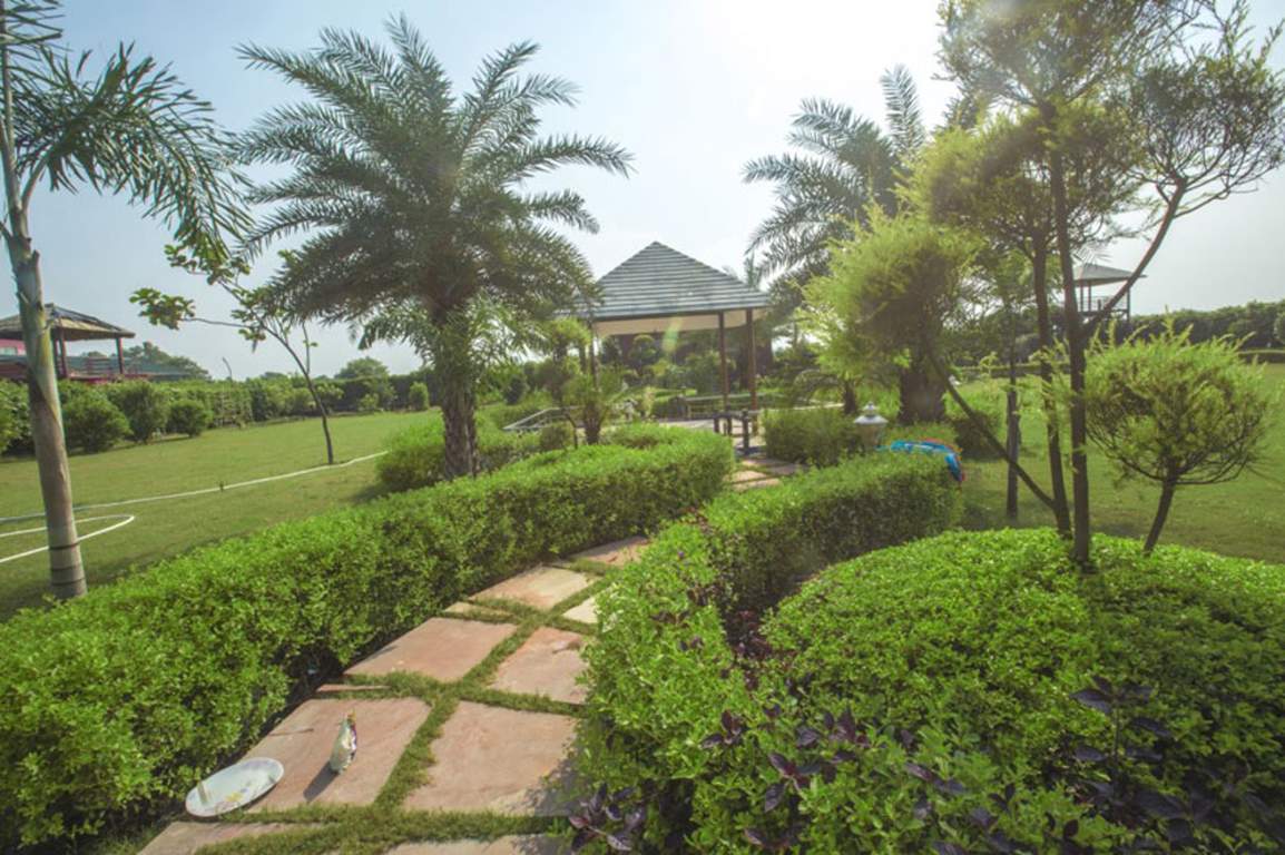 green beauty farms Images for Project