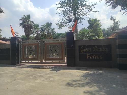  green-beauty-farms Others