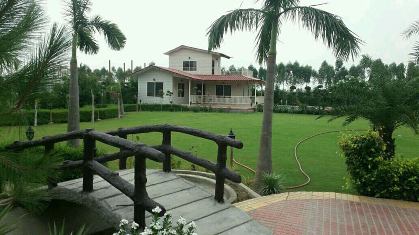 Images for mainOther