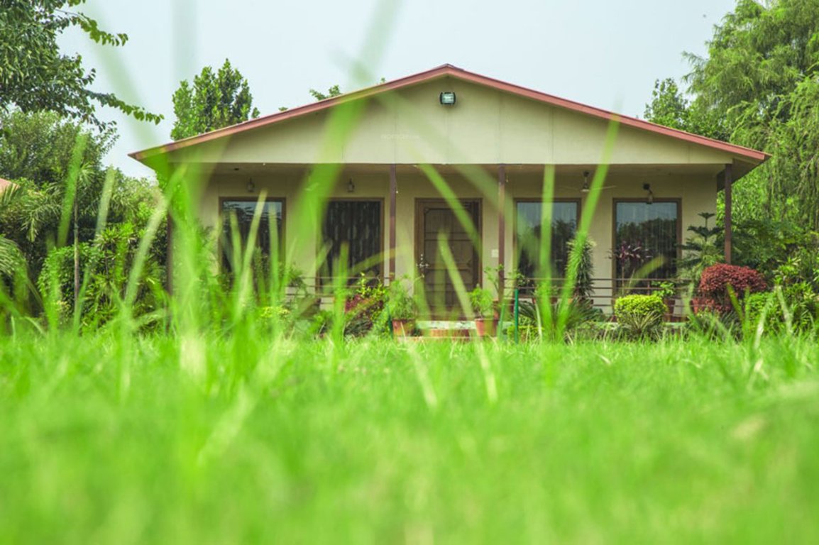 Images for mainOther