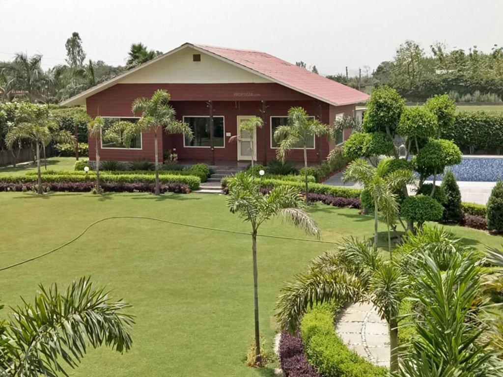 Images for mainOther