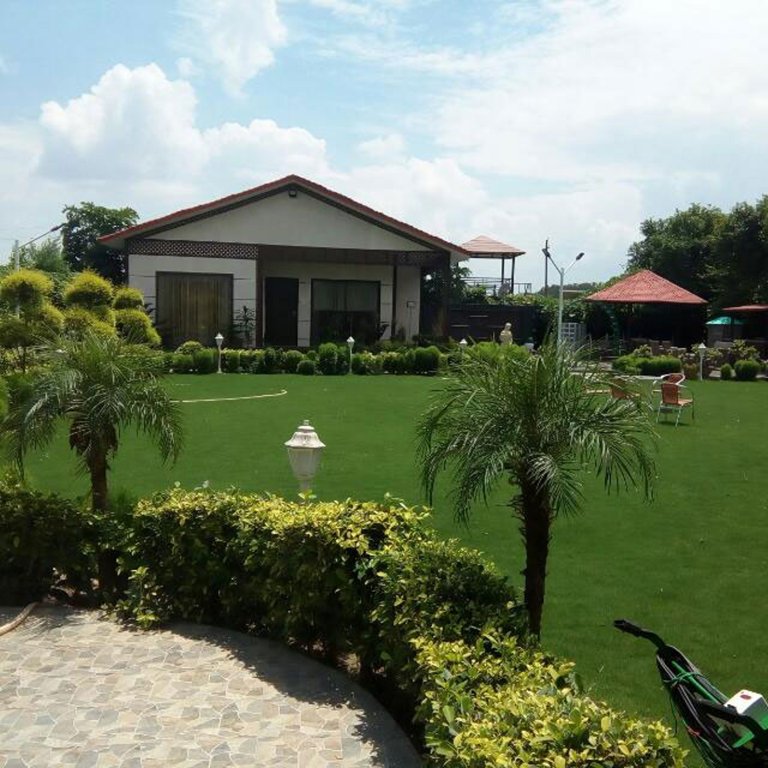 Images for mainOther