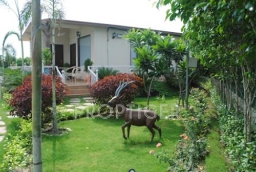  green-beauty-farms Images for Main Other of Dkrrish Green Beauty Farms