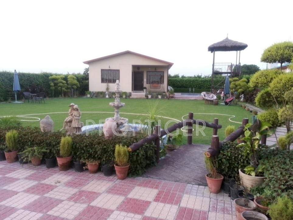 green beauty farms Images for Main Other of Dkrrish Green Beauty Farms