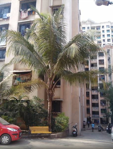  park Images for Project