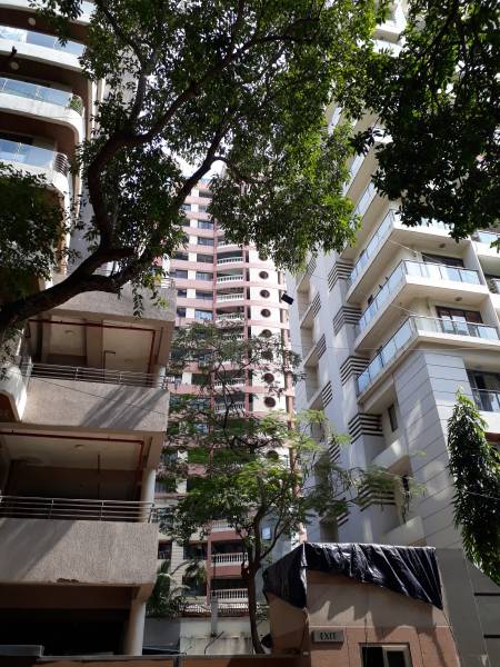  kritika-tower Elevation