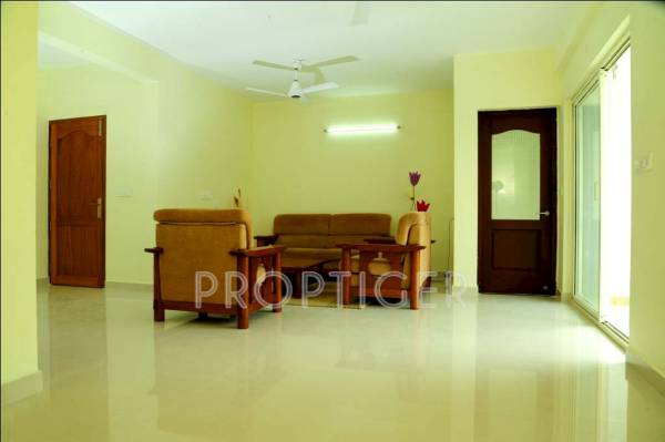 Images for Main Other of Samson Yellow Sapphire Images for Main Other of Samson Yellow Sapphire