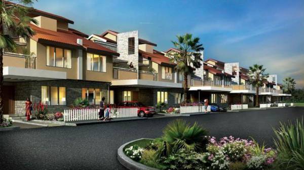  new-haven-crest Elevation